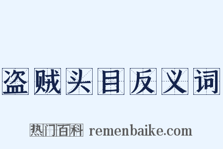 盗贼头目反义词是什么意思的图片